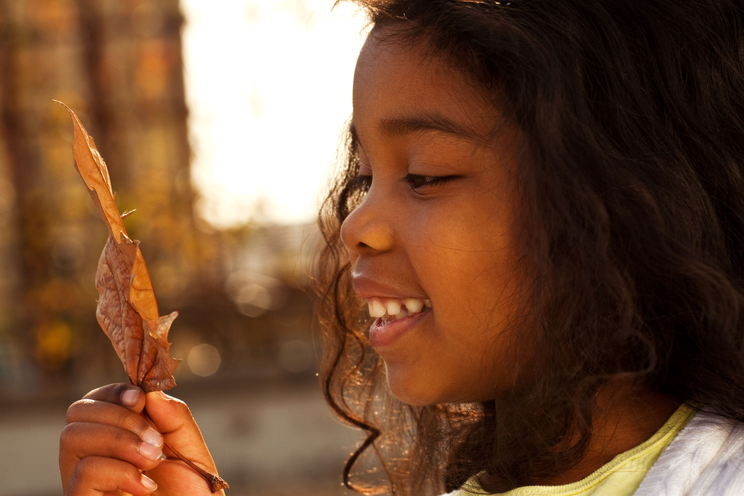 Child observing leaf