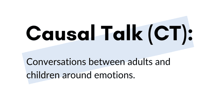 What is Causal Talk (CT)?