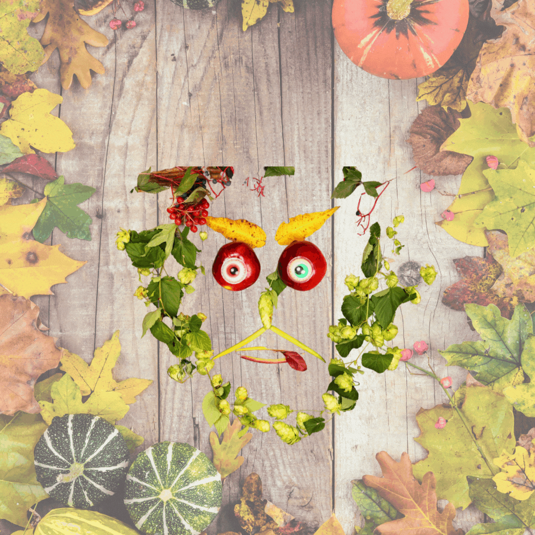 Emergent curriculum idea for preschool kinder students