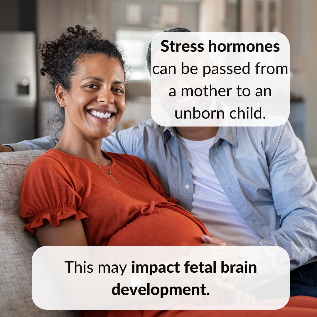 Stress hormones can be passed from a mother to an unborn child. This may impact fetal brain development.