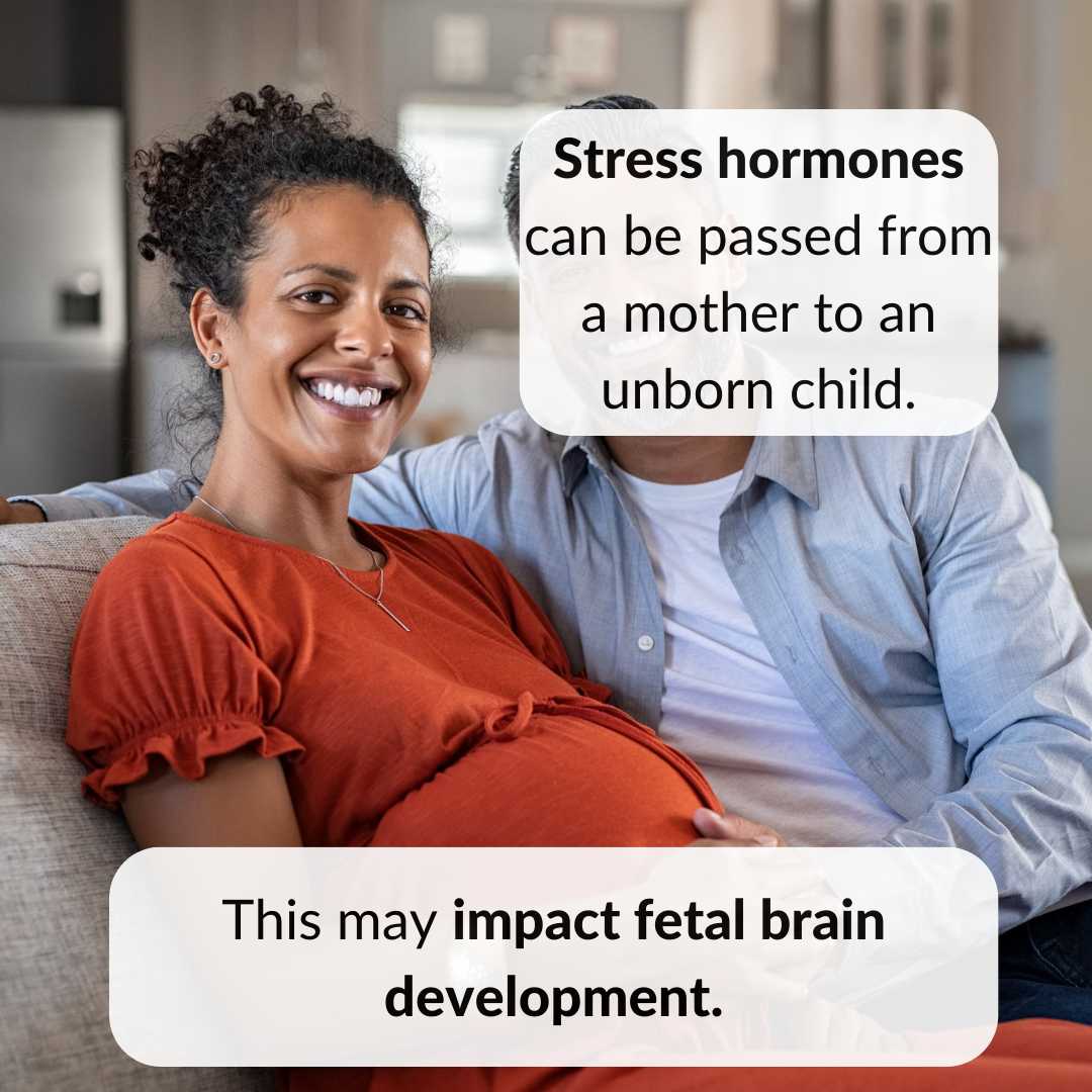 Stress hormones can be passed from a mother to an unborn child. This may impact fetal brain development.